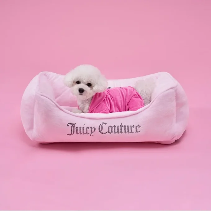 Crown Bling Black Pet Bed