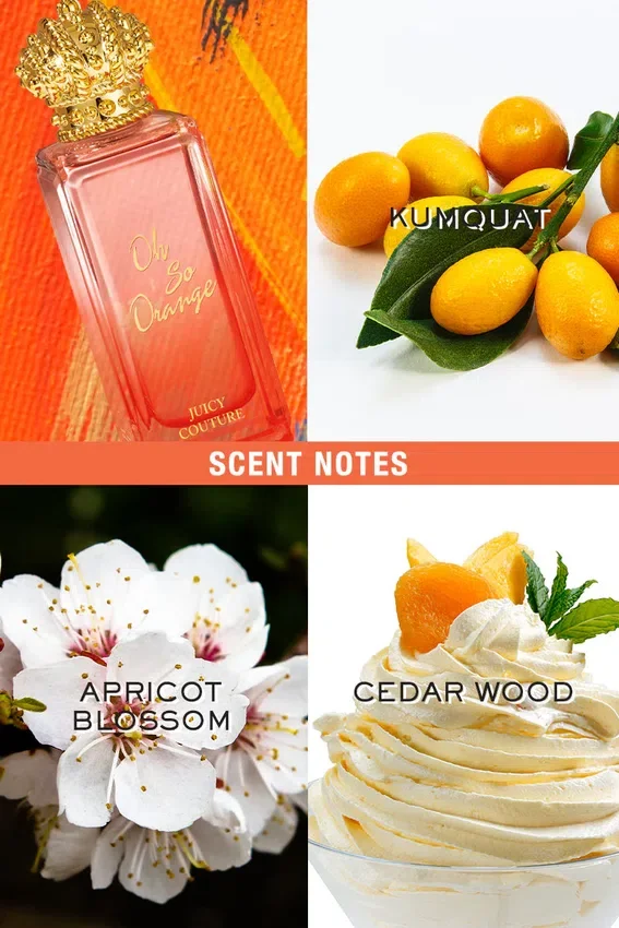 Rock the Rainbow Oh So Orange Eau De Toilette Spray Rock the Rainbow Oh So Orange Eau De Toilette Spray