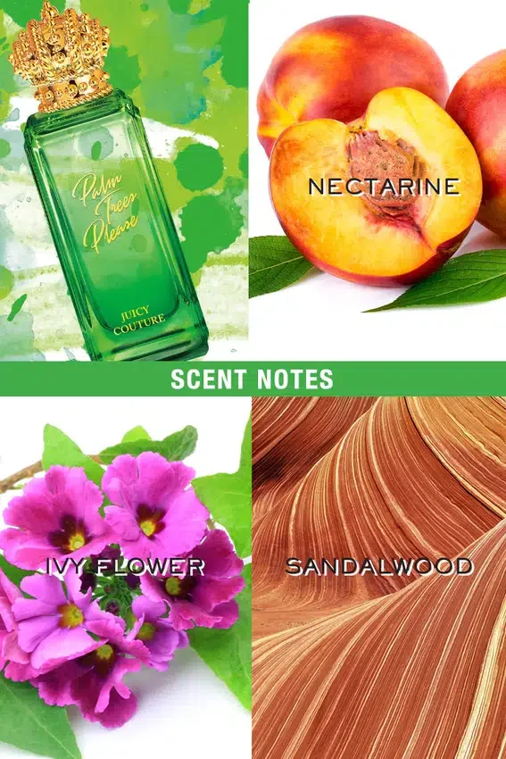 Rock the Rainbow Palm Trees Please Eau De Toilette Spray Rock the Rainbow Palm Trees Please Eau De Toilette Spray