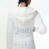 Technicolor Customizable Big Bling Velour Hoodie