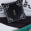 Velvet Lattice Pillow
